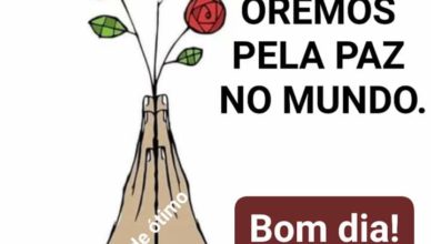 CIVILIZAÇÃO – POLÍTICA – INDIGNAÇÃO – ELEIÇÕES – BOLSONARO= O BRASIL – Saudade e Gratidão Pierre Adri – RIDEL – ORAÇÃO – MÉDICINA – BOMBEIROS – ESCOLAS – ARTES NAT’IVA –