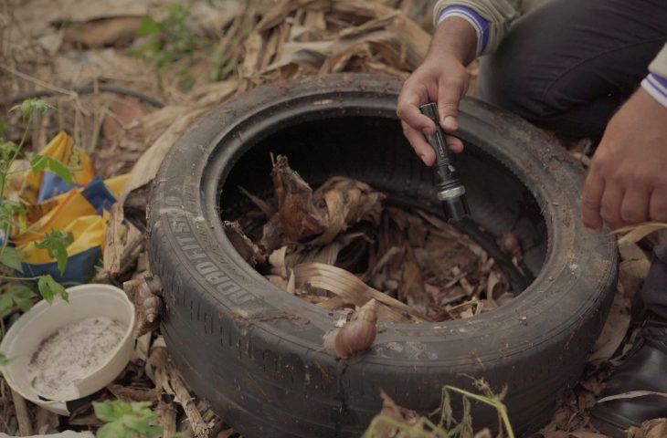 Guerra ao mosquito: Defesa Civil de MS vai atuar para combater focos de dengue na divisa com PR e SP